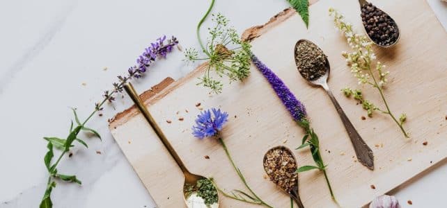 Les fleurs comestibles : un guide pour les reconnaître et les déguster dans votre jardin